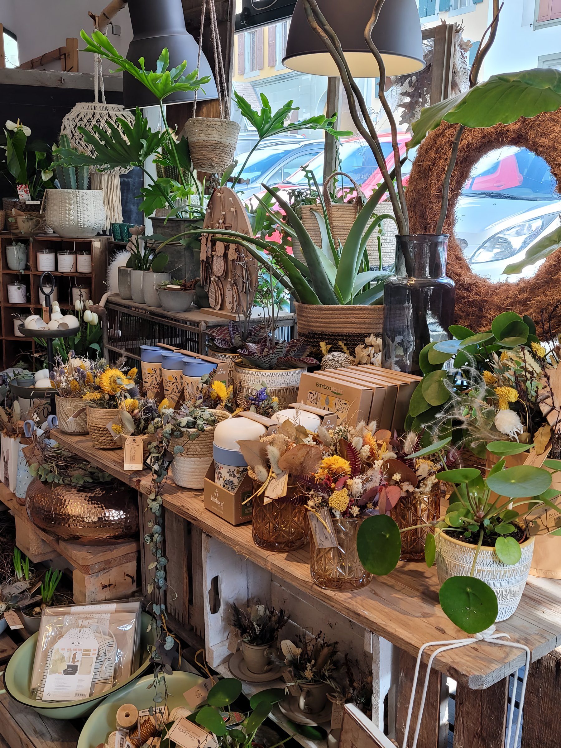Étals de plantes et de fleurs séchées