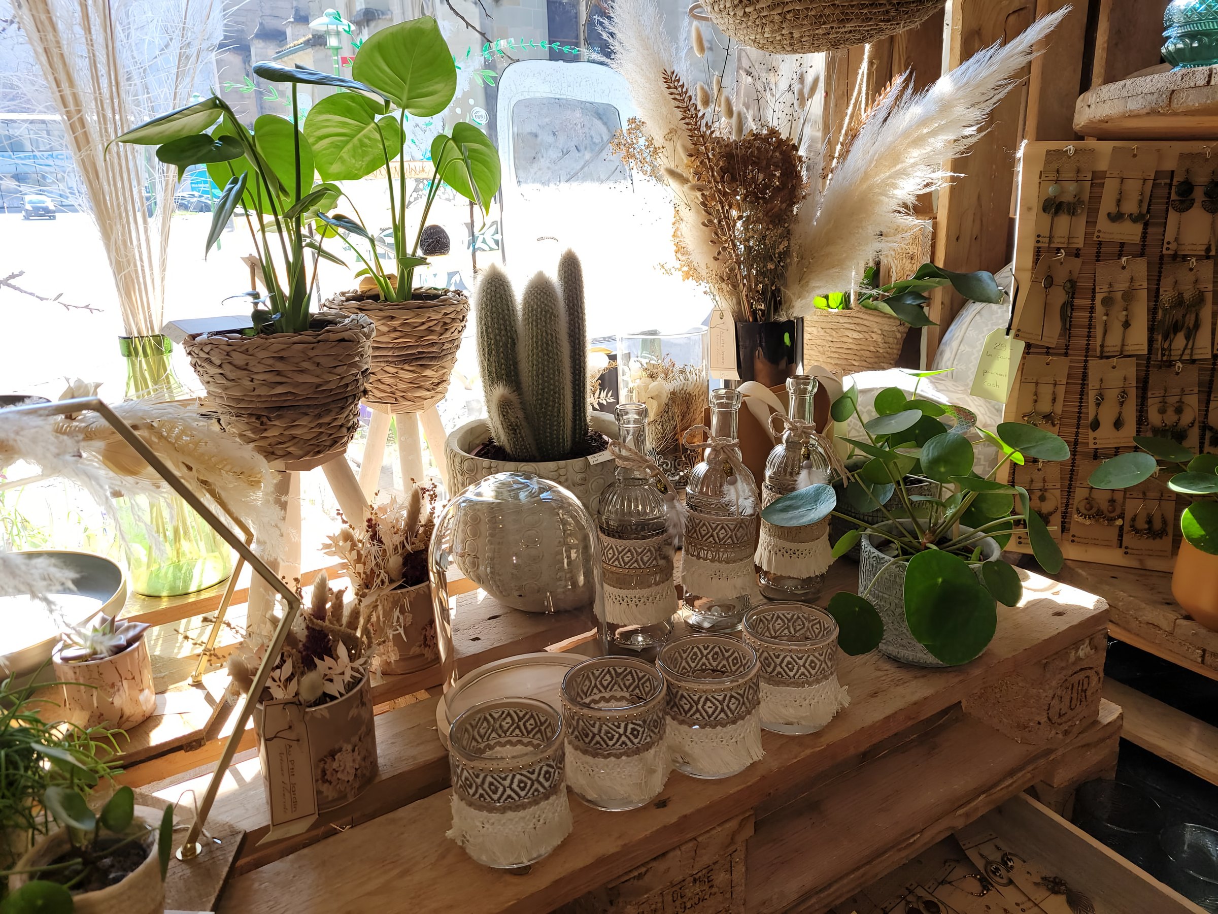 Plantes suspendues et graminées